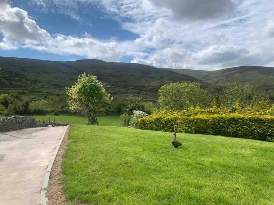 Mountain House Omeath Near Carlingford Villa O Meith Екстериор снимка