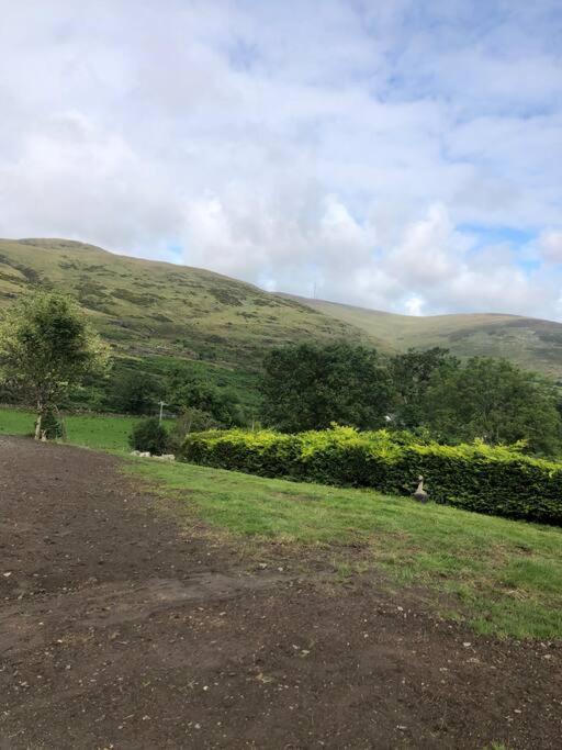 Mountain House Omeath Near Carlingford Villa O Meith Екстериор снимка